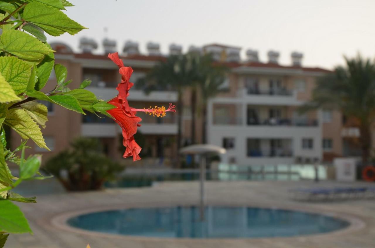 Paphos Iris Village מראה חיצוני תמונה